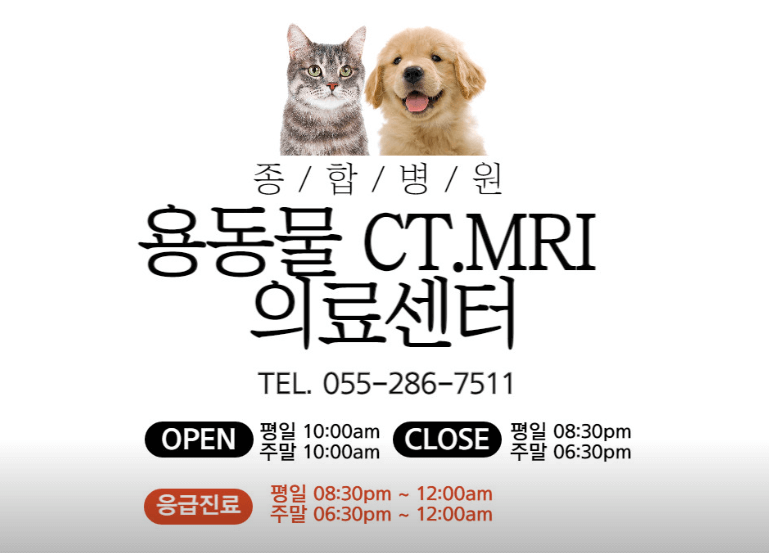 창원시 성산구 동물병원