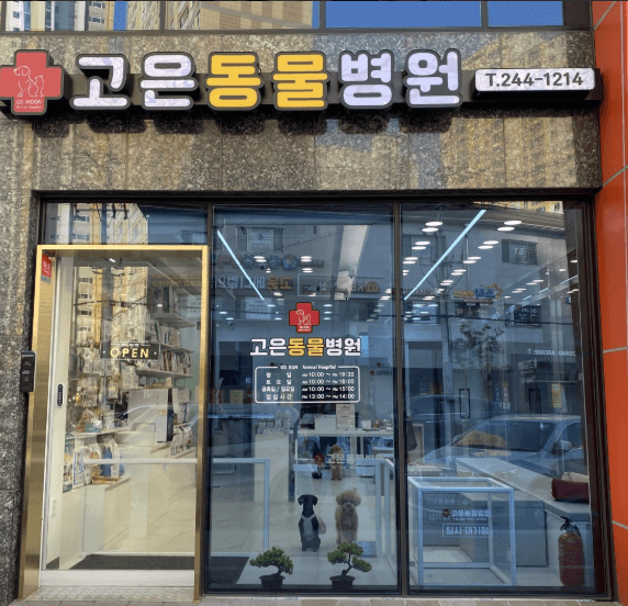 창원시 마산합포구 동물병원