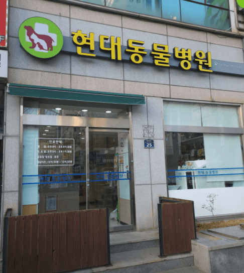 창원시 마산합포구 동물병원