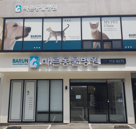 창원시 마산회원구 동물병원