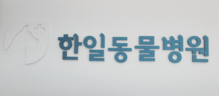 창원시 마산회원구 동물병원