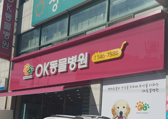 창원시 진해구 동물병원
