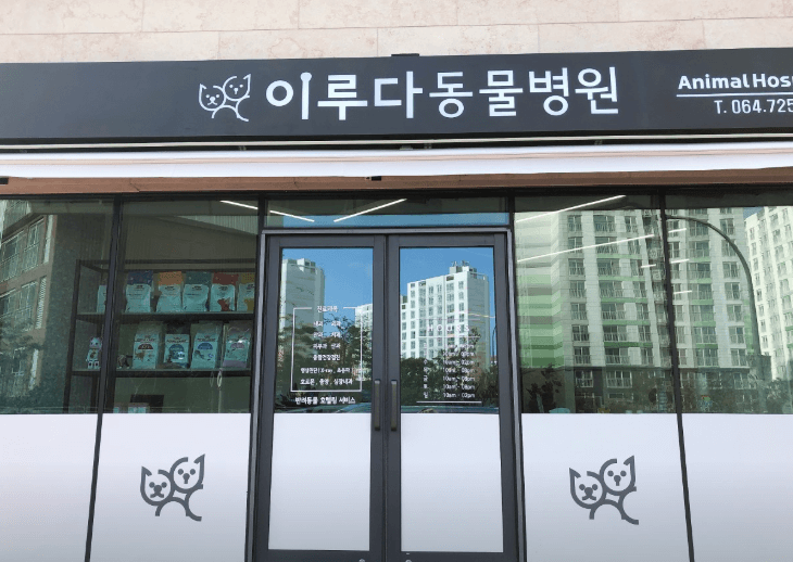 제주시 동물병원