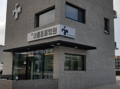 제주시 동물병원