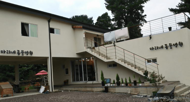 제주시 동물병원