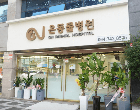 제주시 동물병원