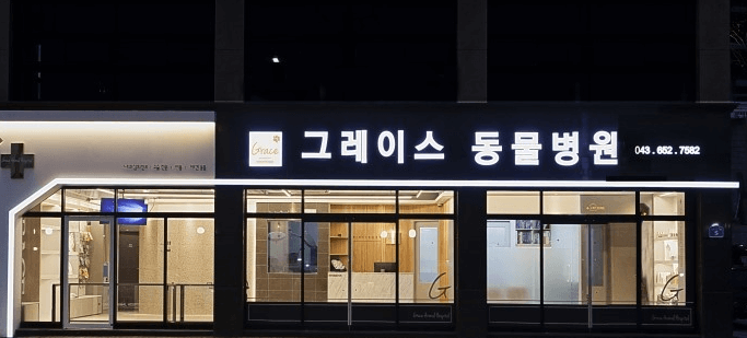 영월군 동물병원