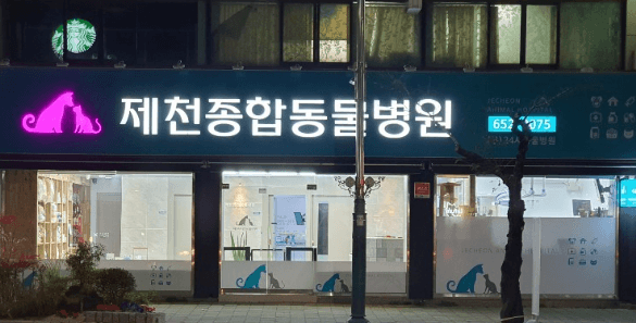 영월군 동물병원