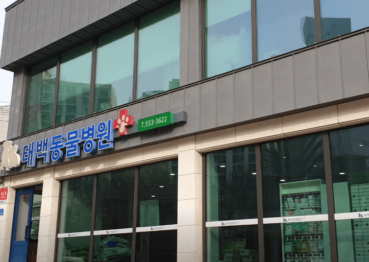 태백시 동물병원