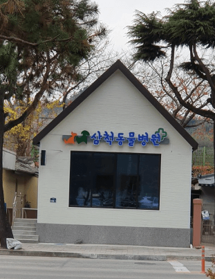 삼척시 동물병원