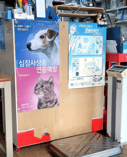 삼척시 동물병원