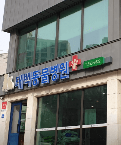 삼척시 동물병원