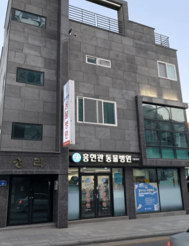 삼척시 동물병원
