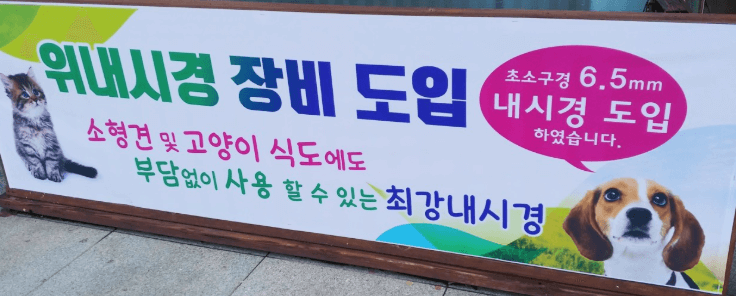 동해시 동물병원