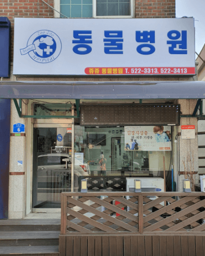 동해시 동물병원