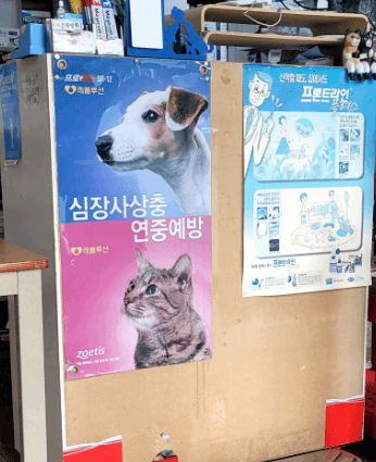 동해시 동물병원