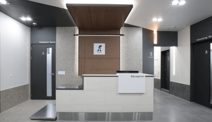 강릉시 동물병원