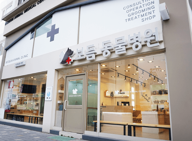 강릉시 동물병원