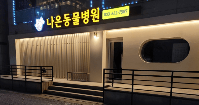 강릉시 동물병원