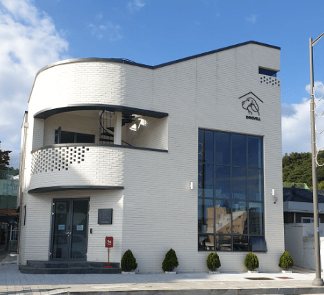 강릉시 동물병원