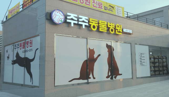 강릉시 동물병원