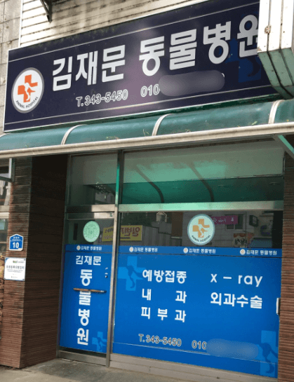 횡성군 동물병원