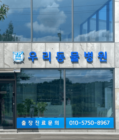 횡성군 동물병원