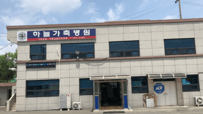 횡성군 동물병원