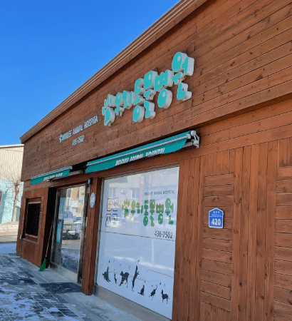 홍천군 동물병원