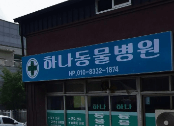 양양군 동물병원