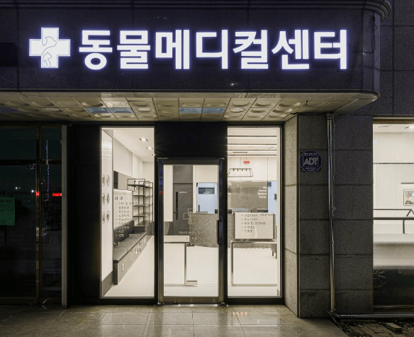 속초시 동물병원