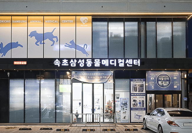 속초시 동물병원