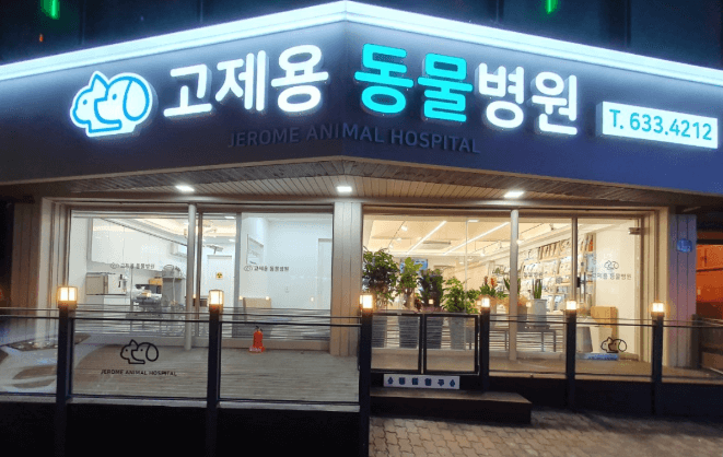 속초시 동물병원