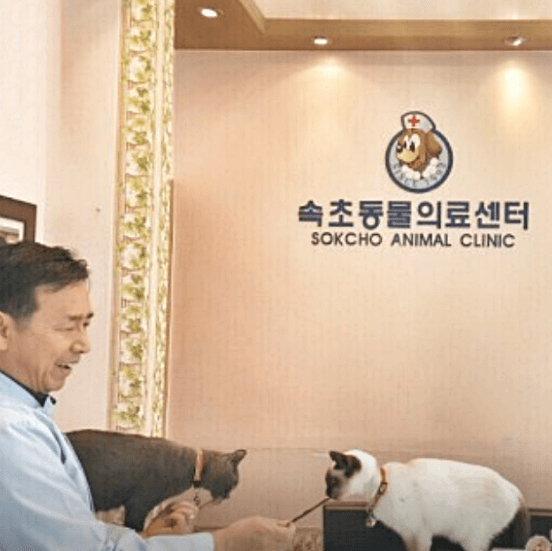 속초시 동물병원