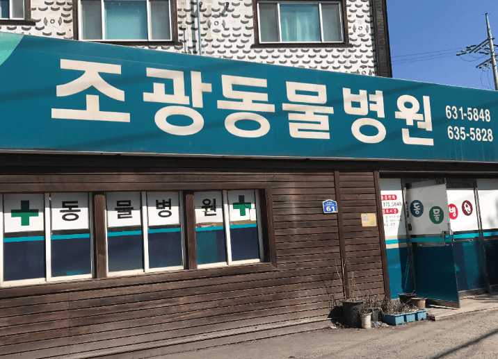 속초시 동물병원