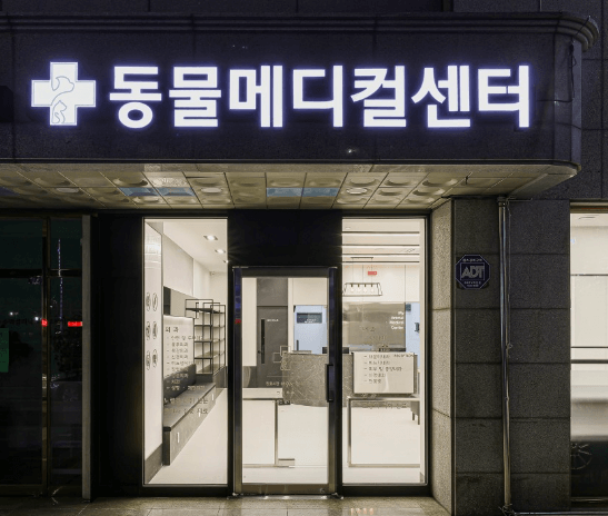 강원 고성군 동물병원