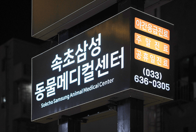 강원 고성군 동물병원