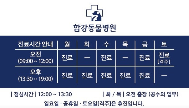 인제군 동물병원