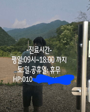 인제군 동물병원