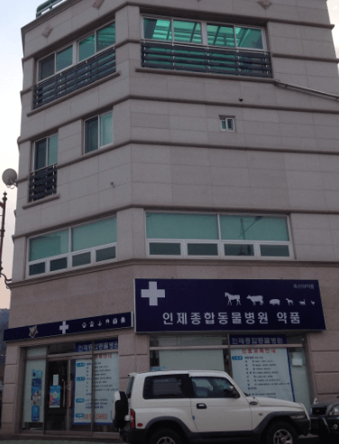 인제군 동물병원