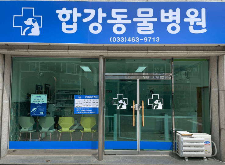 양구군 동물병원