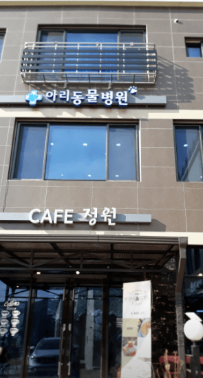 철원군 동물병원