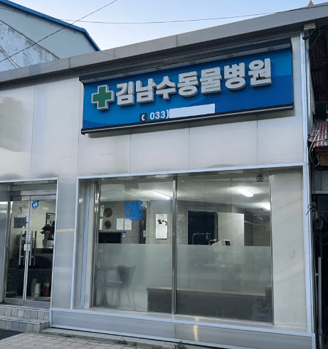 철원군 동물병원
