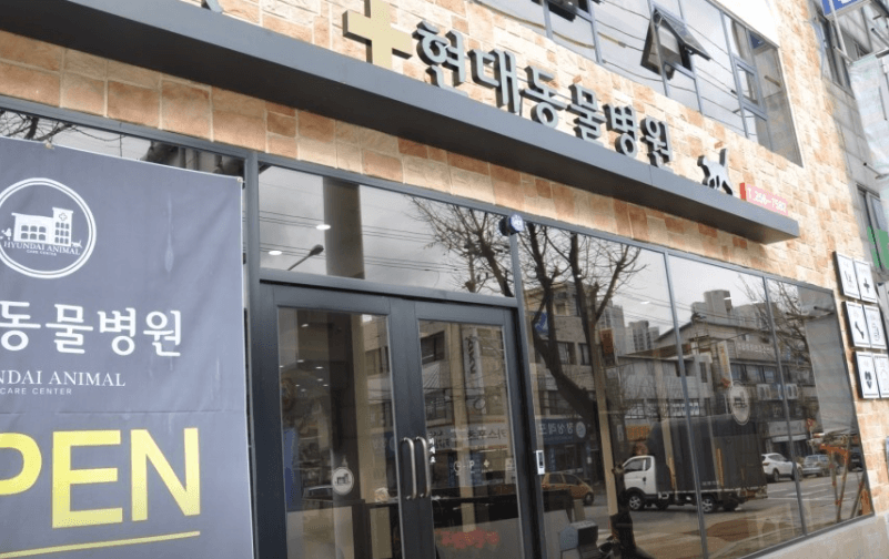 춘천시 동물병원