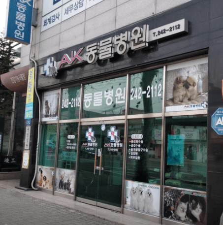 춘천시 동물병원