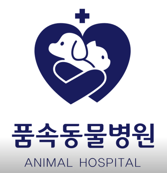 춘천시 동물병원