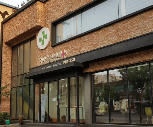 춘천시 동물병원