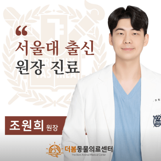 원주시 동물병원