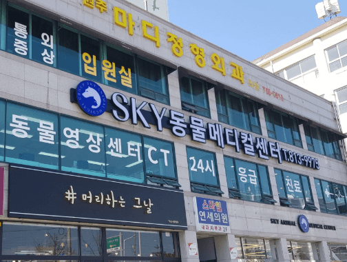 원주시 동물병원