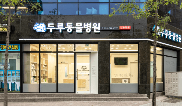 원주시 동물병원